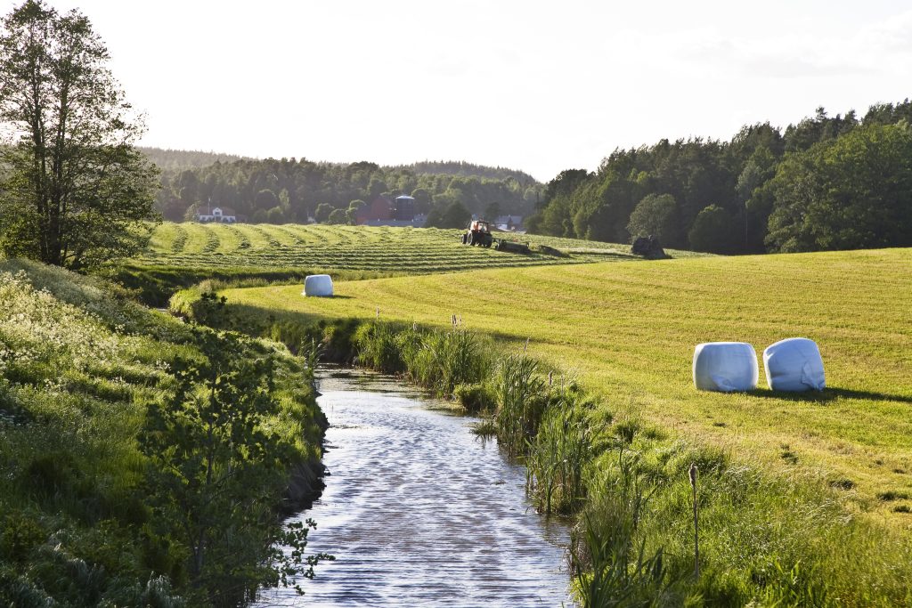 @T Adolfsén/Scandinav